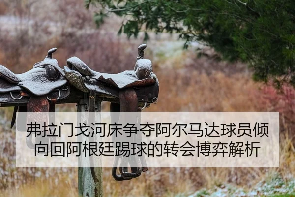 弗拉门戈河床争夺阿尔马达球员倾向回阿根廷踢球的转会博弈解析